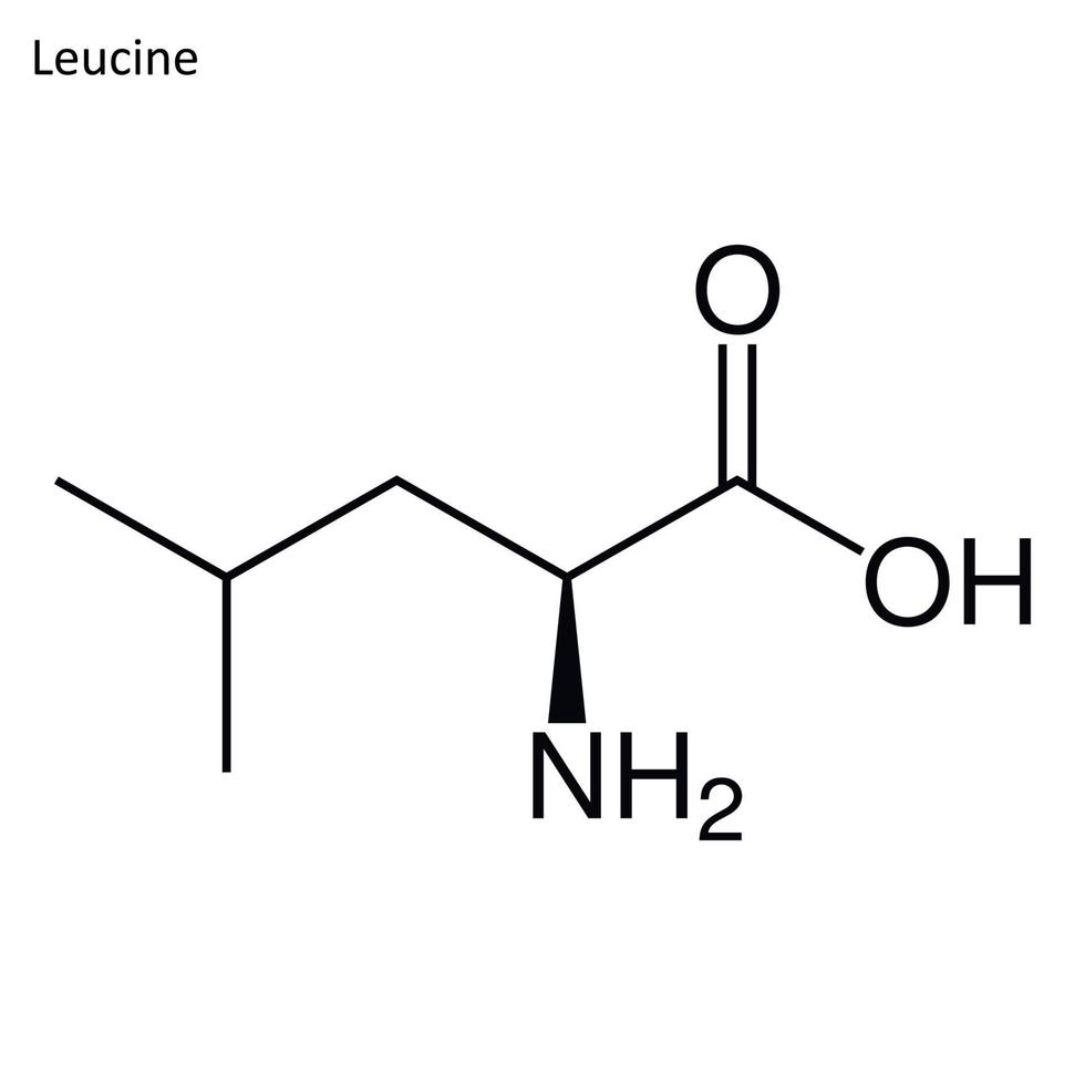 Skeletal formula of Leucine vector