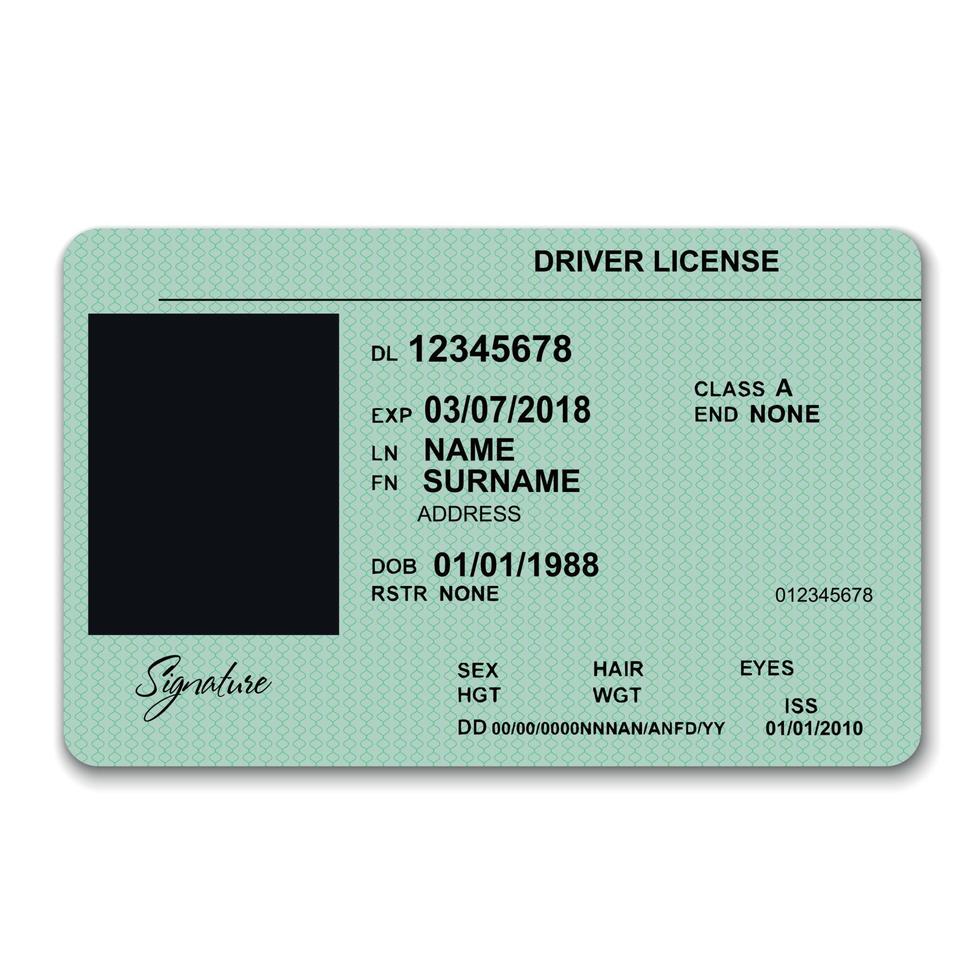 plastic driver licence vector