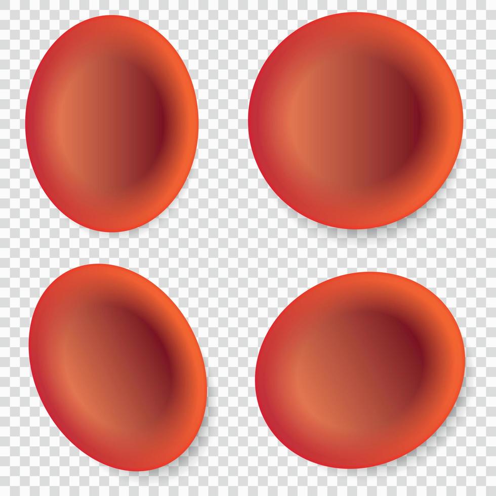 red blood cells vector
