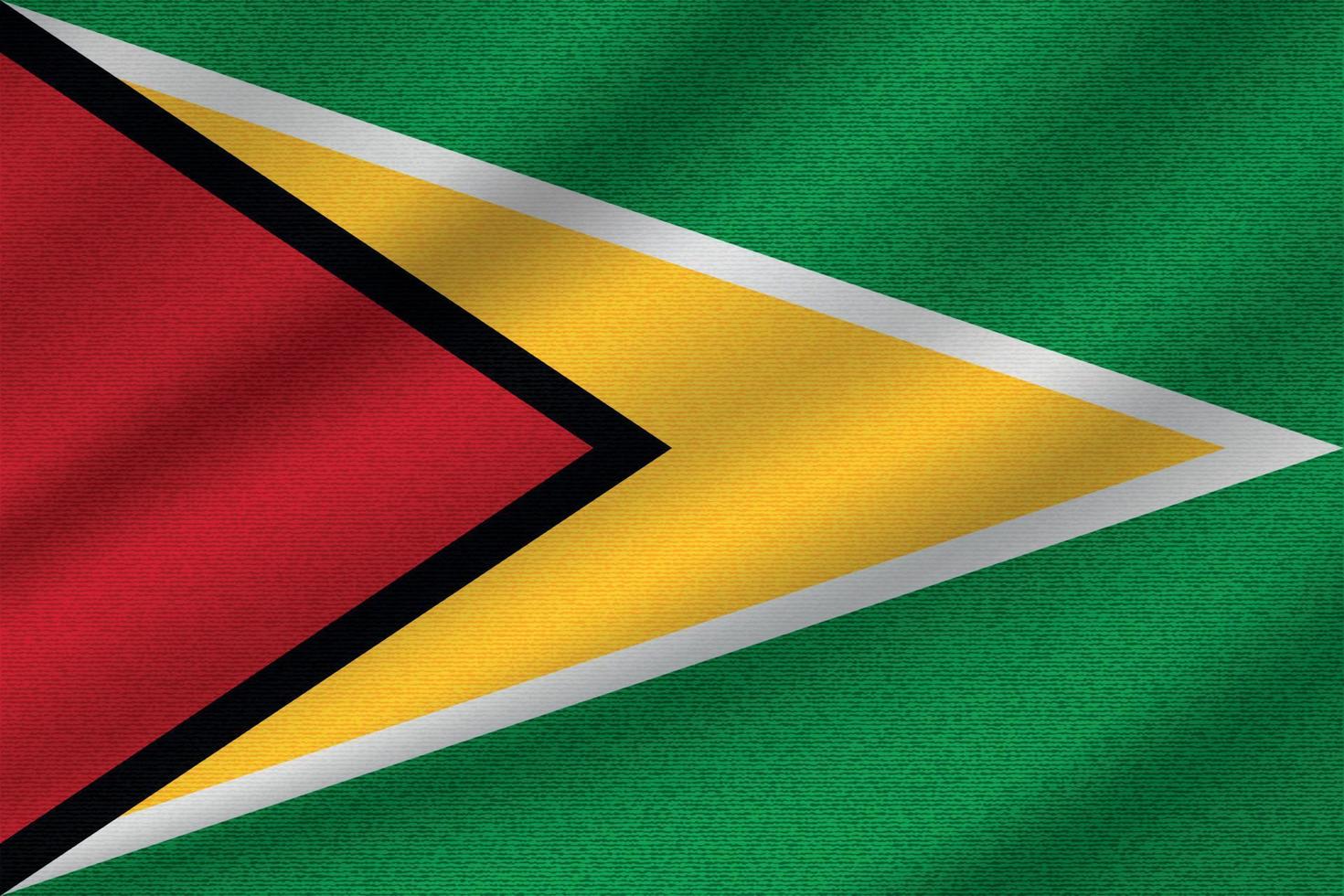 national flag of Guyana vector