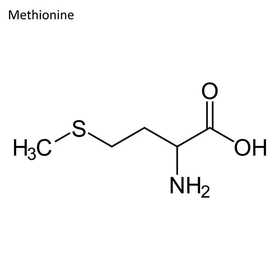 Skeletal formula of Methionine vector