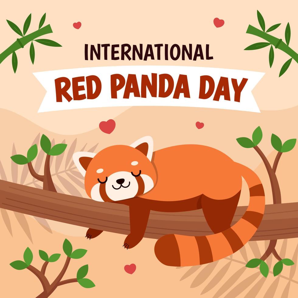 International Red Panda Day Celebration Concept vector