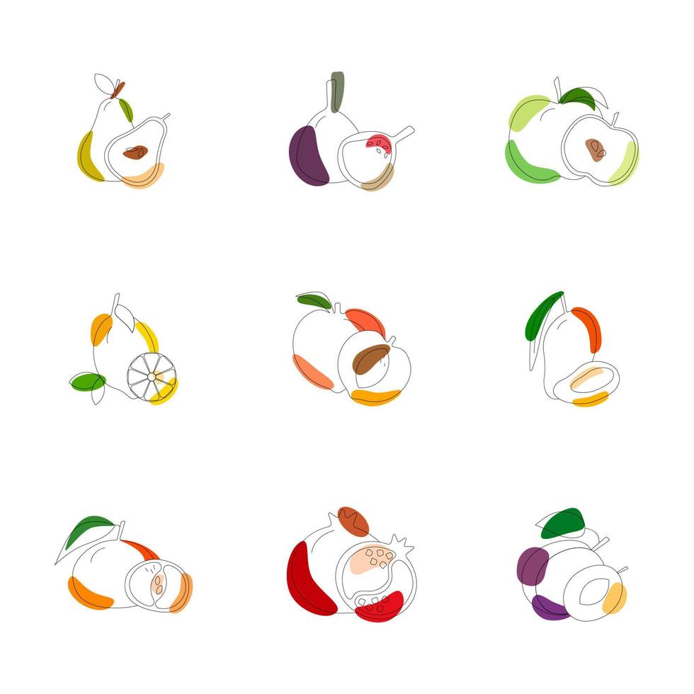 Set of nine fruits vector