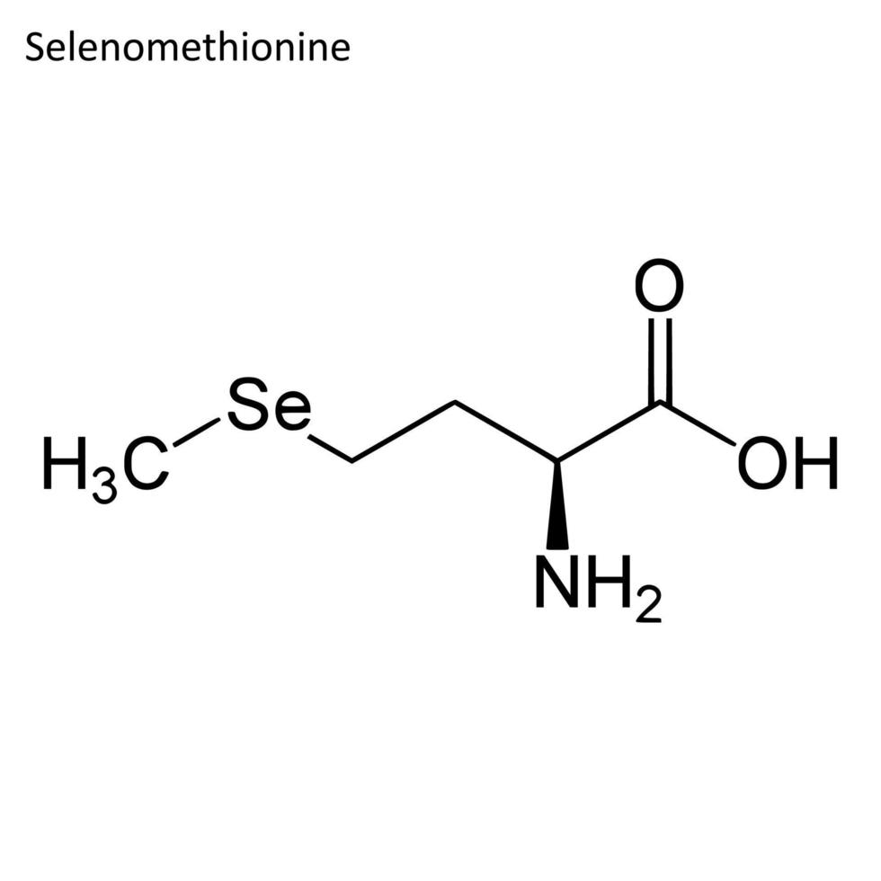 Skeletal formula of selenomethionine vector