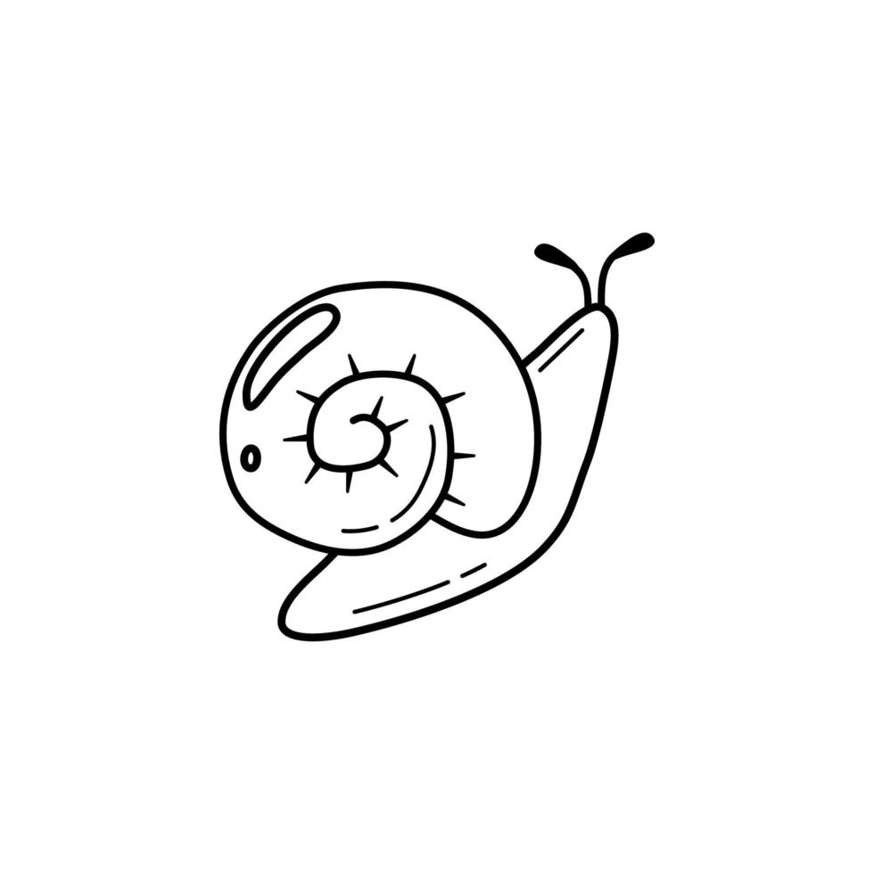 Hand drawn black and white snail with shell. Decorative element for cosmetics packaging. Flat vector illustration in doodle style.