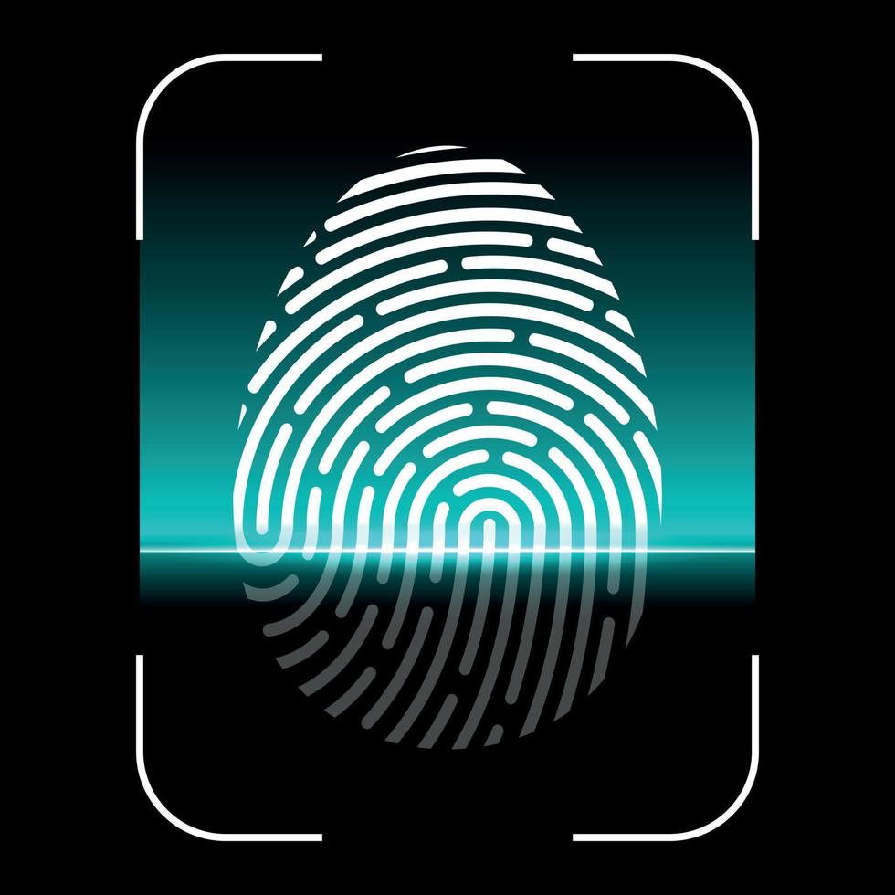 Biometric Fingerprint Scan . Vector