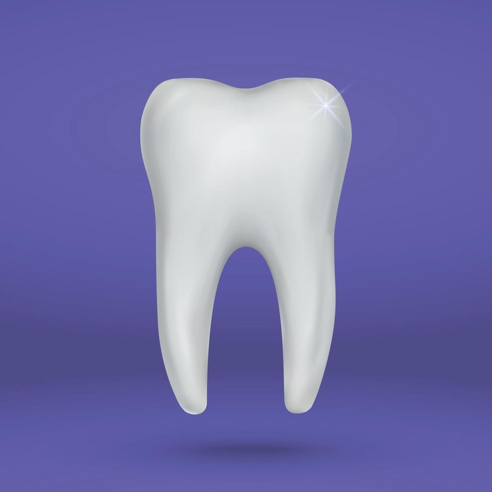 3d Tooth Isolated . Vector