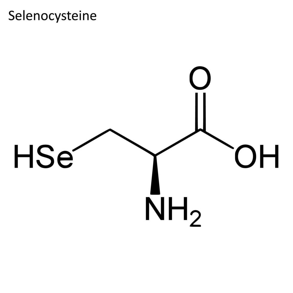 Skeletal formula of Selenocysteine vector