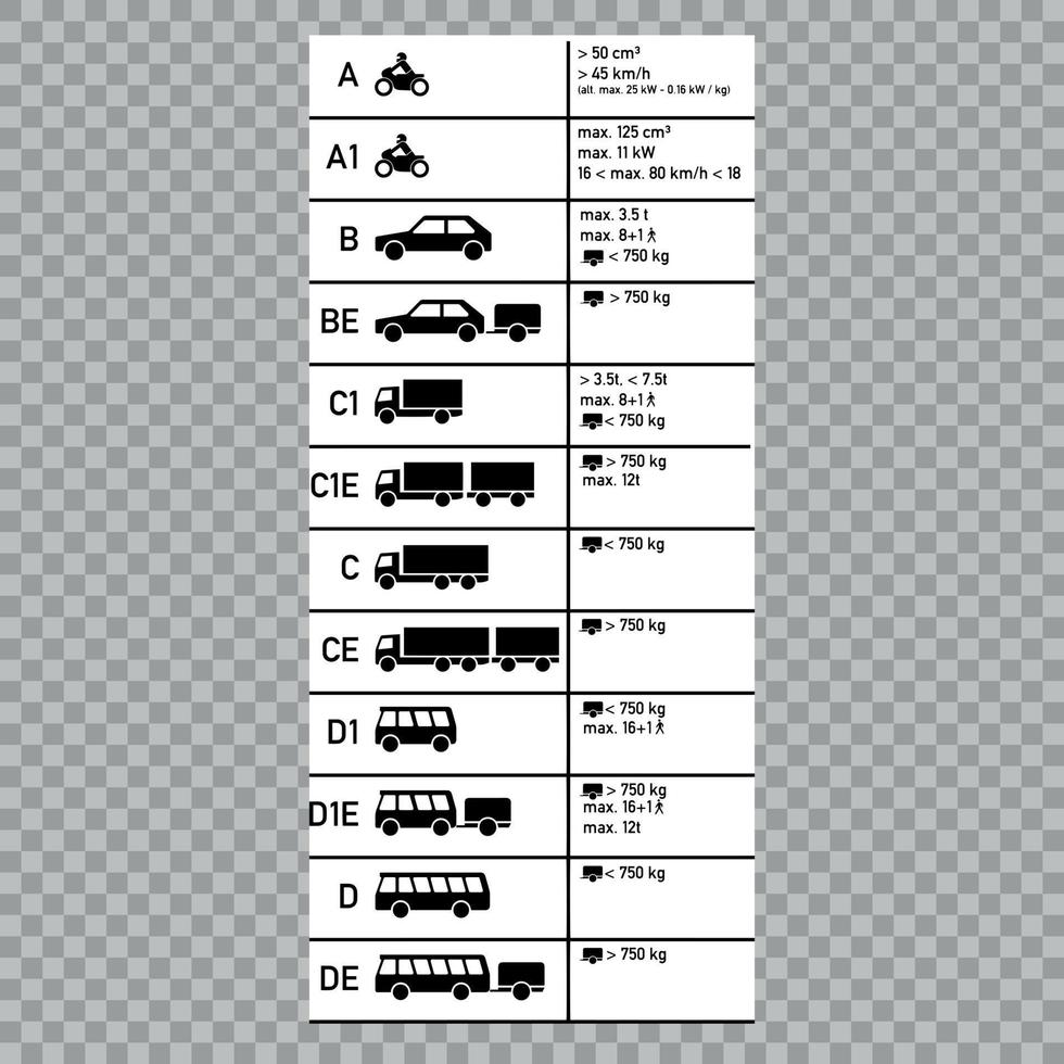 Driver's licenses symbols vector