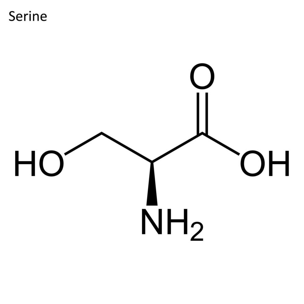 Skeletal formula of Serine vector