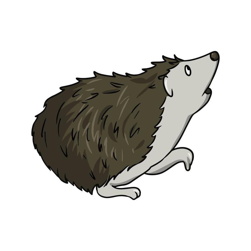 Cute brown little hedgehog looking up, side view, cartoon-style vector illustration on a white background