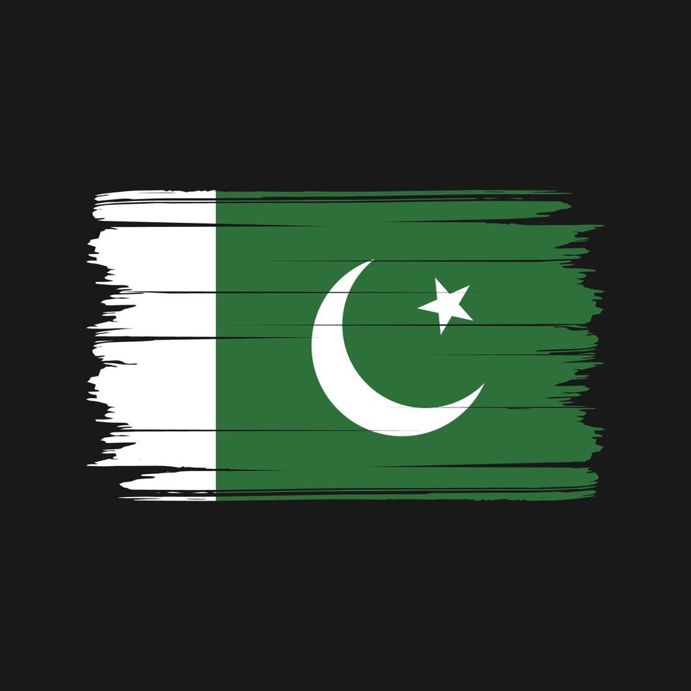 Pakistan Flag Brush Vector. National Flag vector