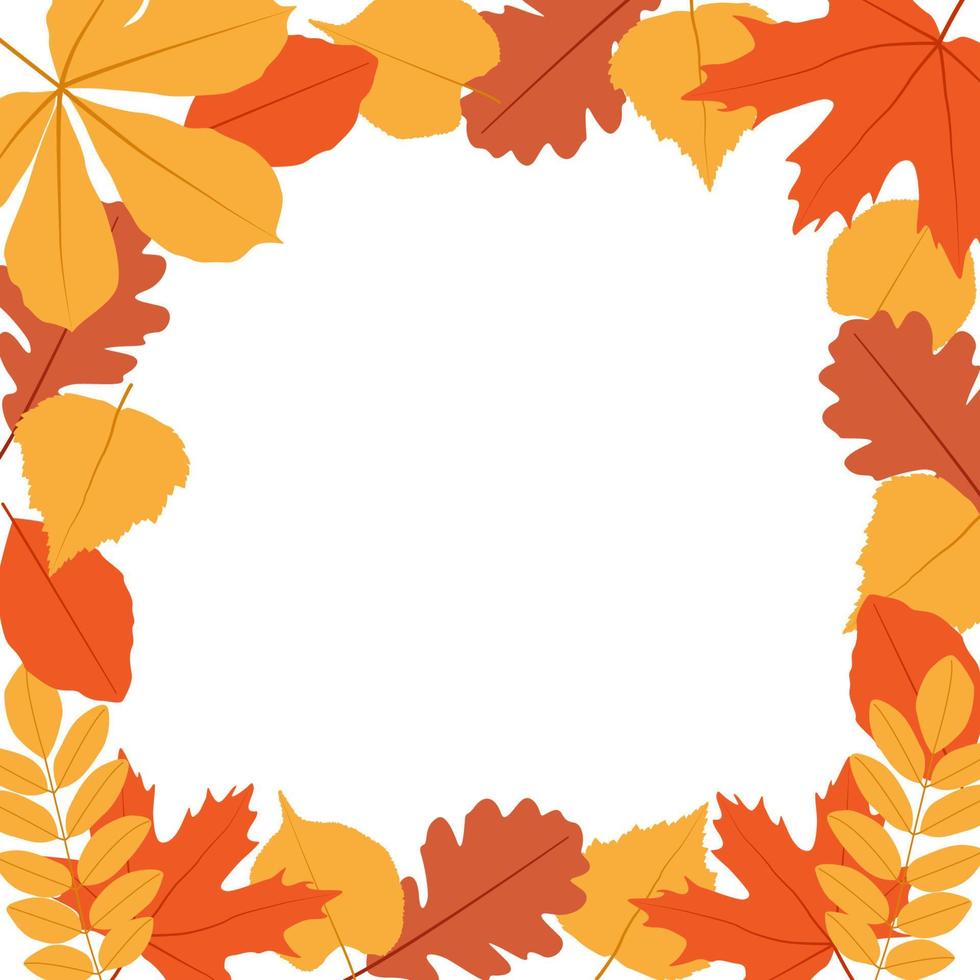 Frame of autumn leaves. Vector illustration, isolated on white, for nature, eco and autumn design