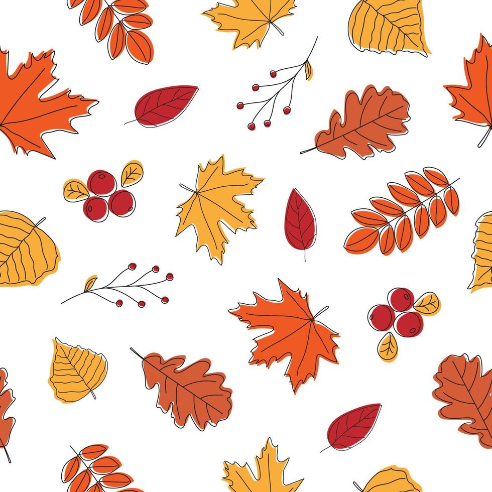 Seamless pattern of autumn leaves on white background. Line art colorful leaves. Background for nature, eco and autumn design vector
