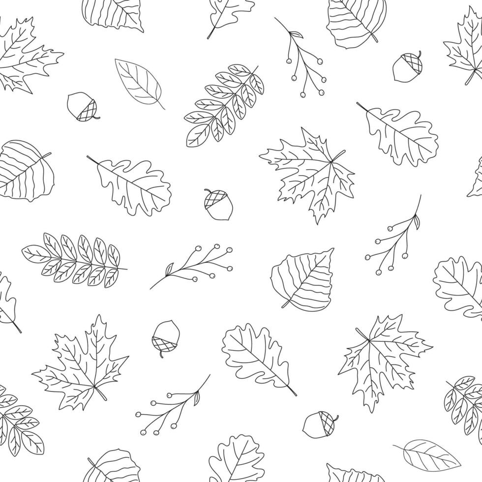 Seamless pattern of autumn leaves on white background. Line art design. Doodle style. Background for nature, eco and autumn design vector