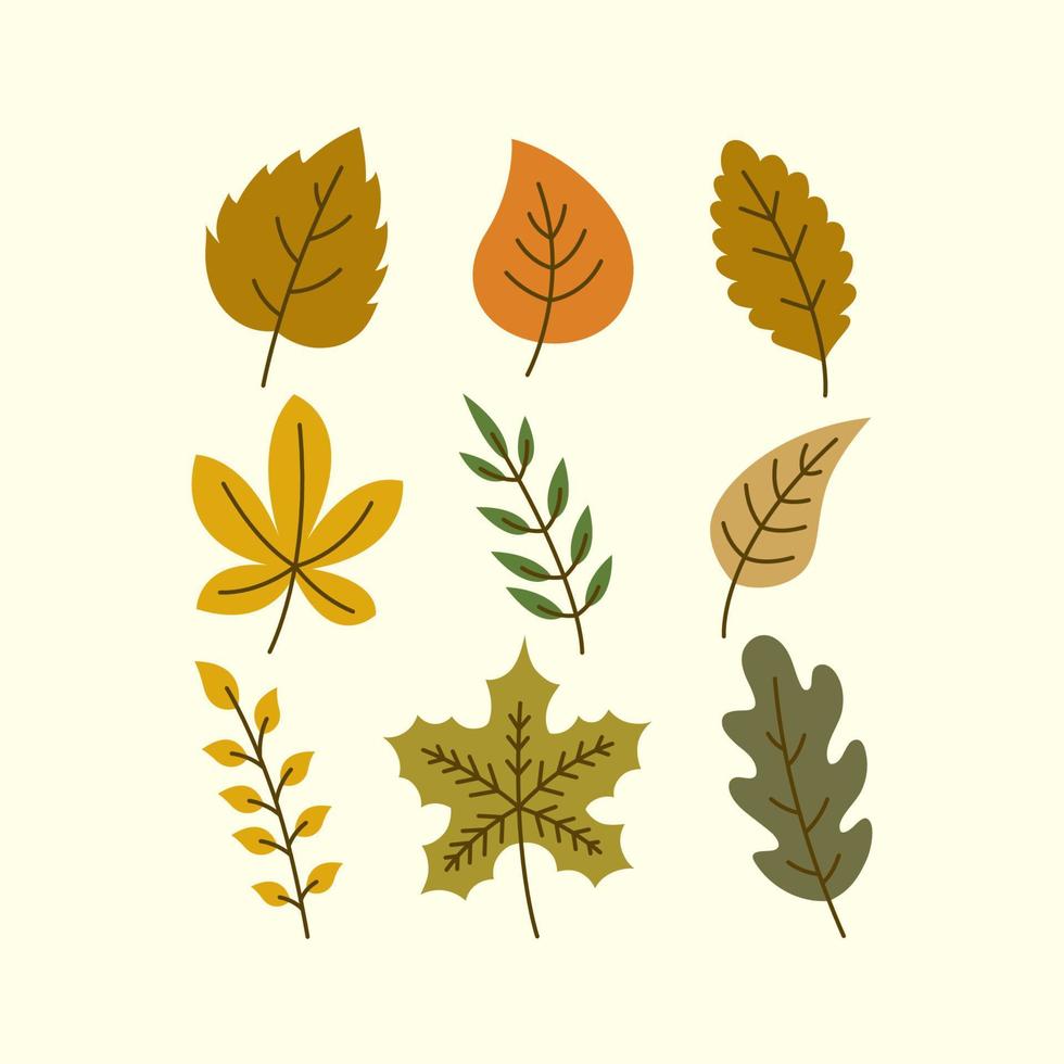 set of autumn leaves illustration vector