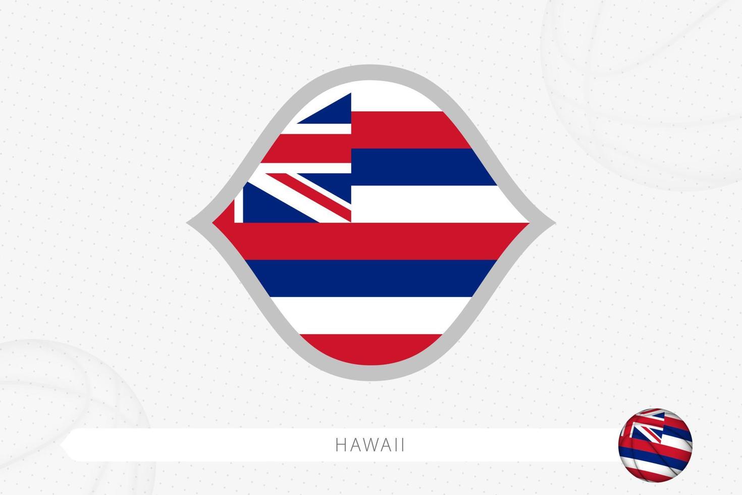 Hawaii flag for basketball competition on gray basketball background. vector