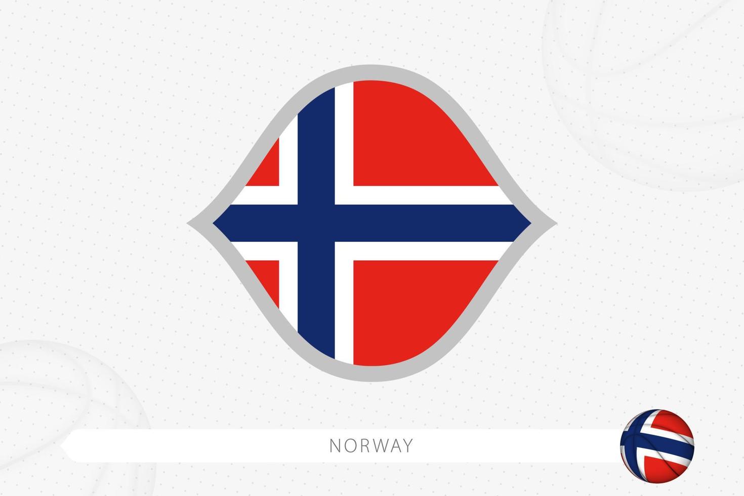 Norway flag for basketball competition on gray basketball background. vector