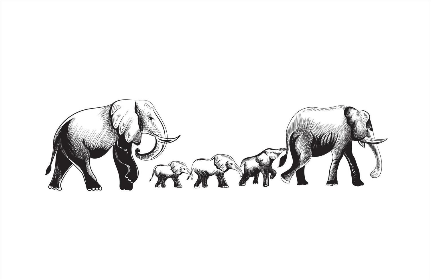bosquejo de la familia de elefantes vector