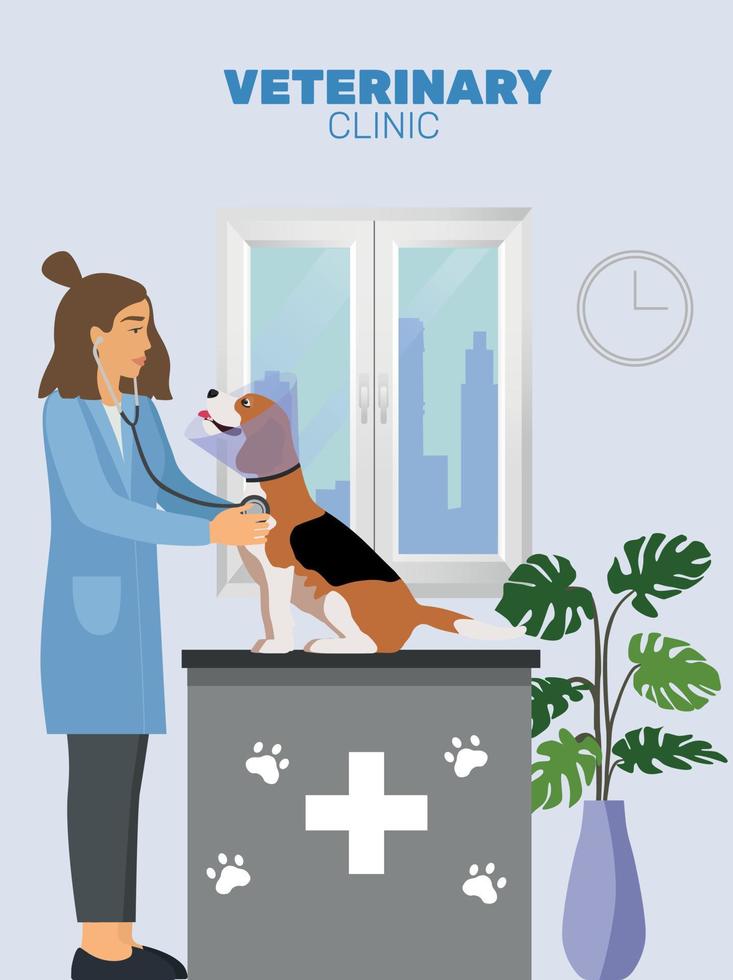 Veterinarian and doctor with dog on counter in vet clinic. Vector illustration flat cartoon. Veterinary Clinic Doctor Examining, Vaccination and Health care for Pets Dogs. Healthy happy dog. Beagle