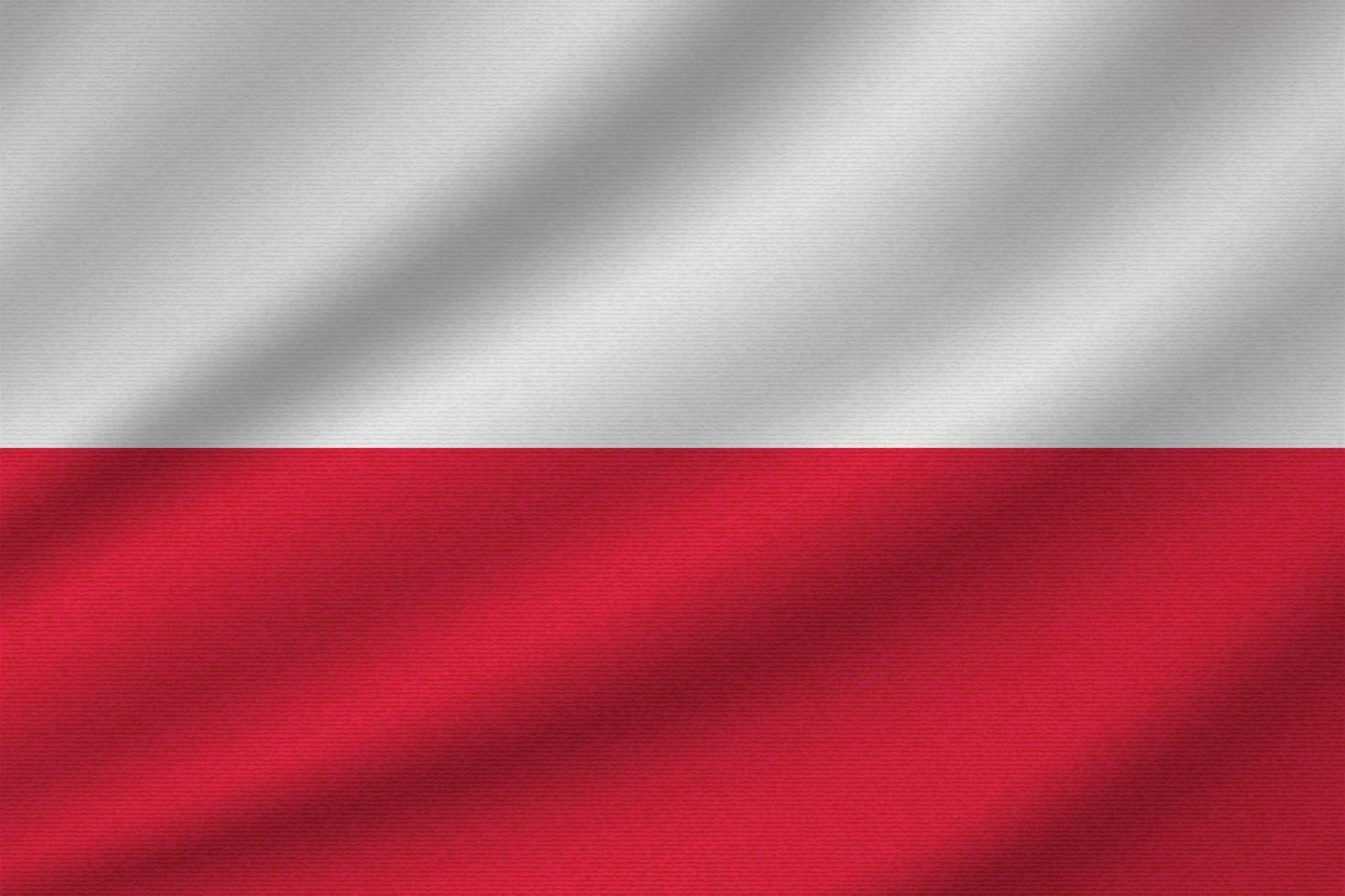 bandera nacional de polonia vector