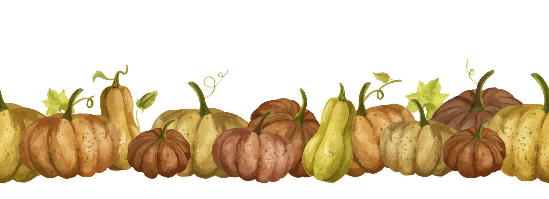 Watercolor seamless Border with orange Pumpkins for Thanksgiving Day Banner or Halloween design. Autumn hand painted illustration for harvest festival. Pattern with vegetables vector