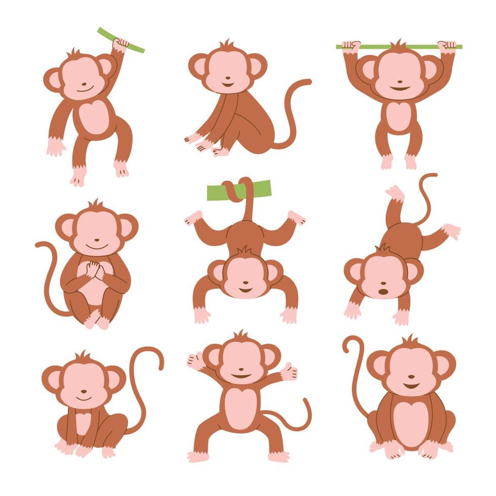 Set of monkey character poses vector illustration