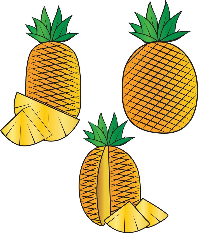 vector illustration of colorful pineapple doodle full and half