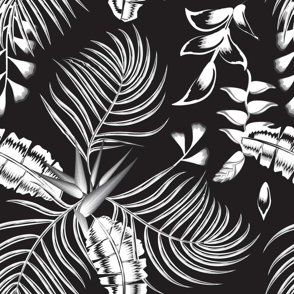 flores de heliconia tropical de color vintage en blanco y negro sin costuras con hojas de palma de plátano monocromáticas y follaje sobre fondo oscuro. papel tapiz floral vectorial de la selva. trópicos exóticos. el verano vector