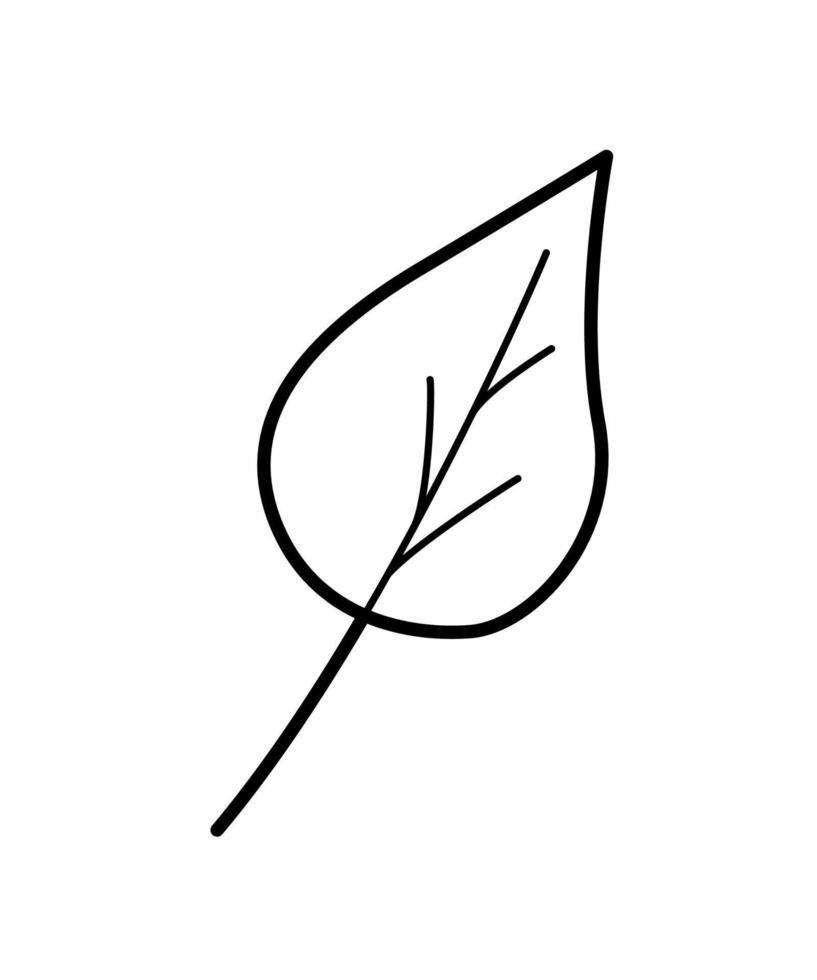 Birch or aspen leaf doodle vector illustration, isolate on white.