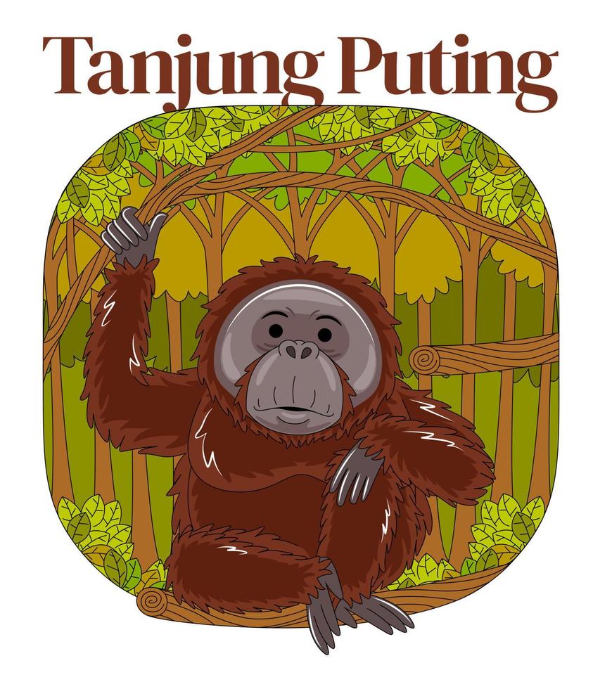 Tanjung Puting National Park vector