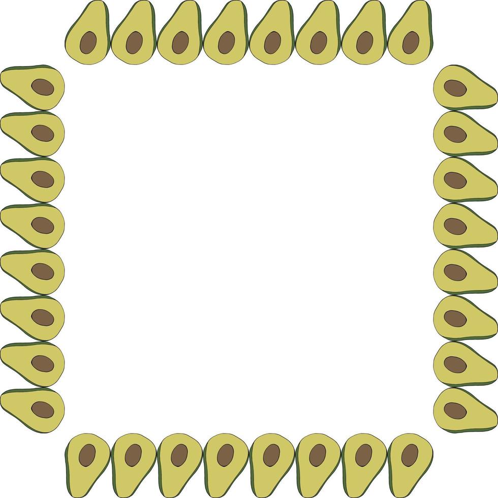 Square frame with avocado on white background. Vector image.