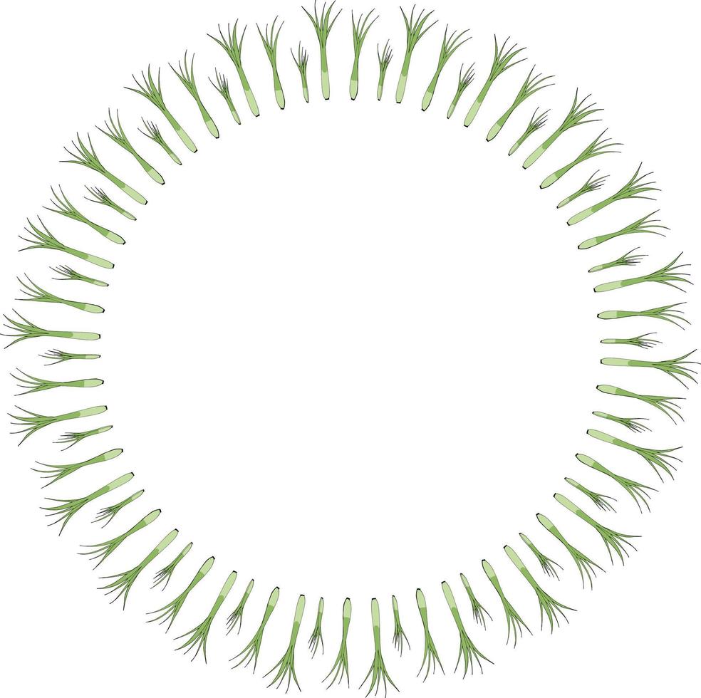 Round frame with vertical green onion on white background. Vector image.