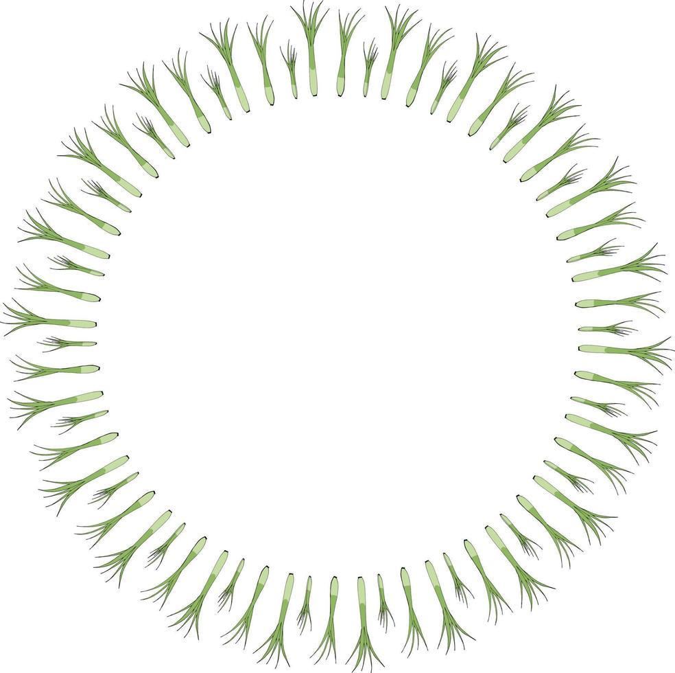 Round frame with vertical green onion on white background. Vector image.