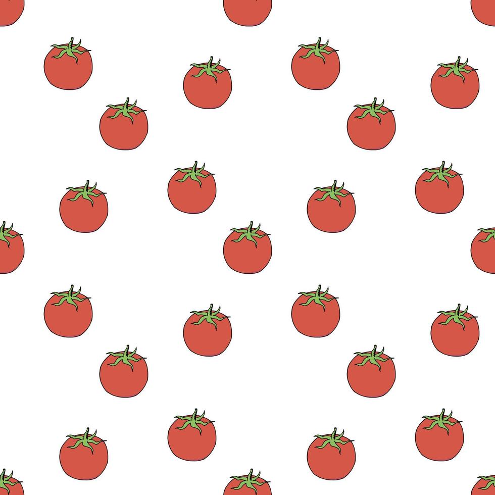 Seamless pattern with tomato on white background. Vector image.
