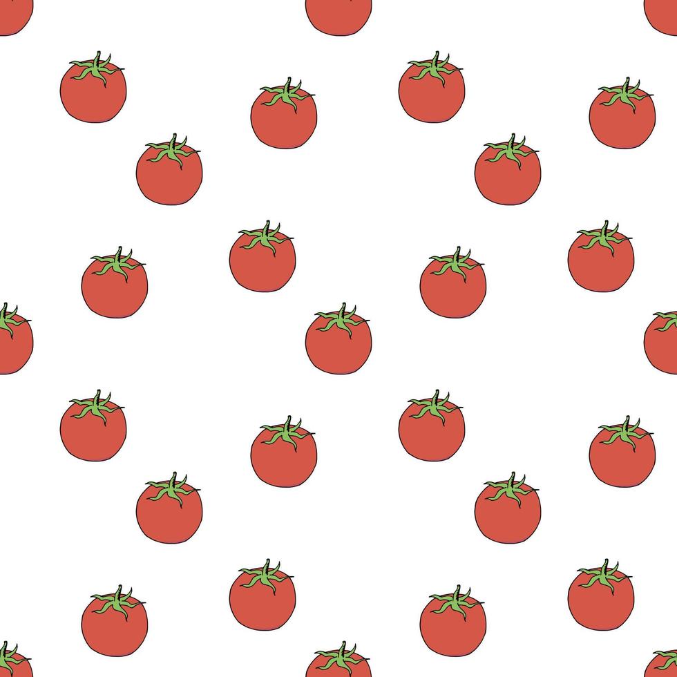 Seamless pattern with tomato on white background. Vector image.