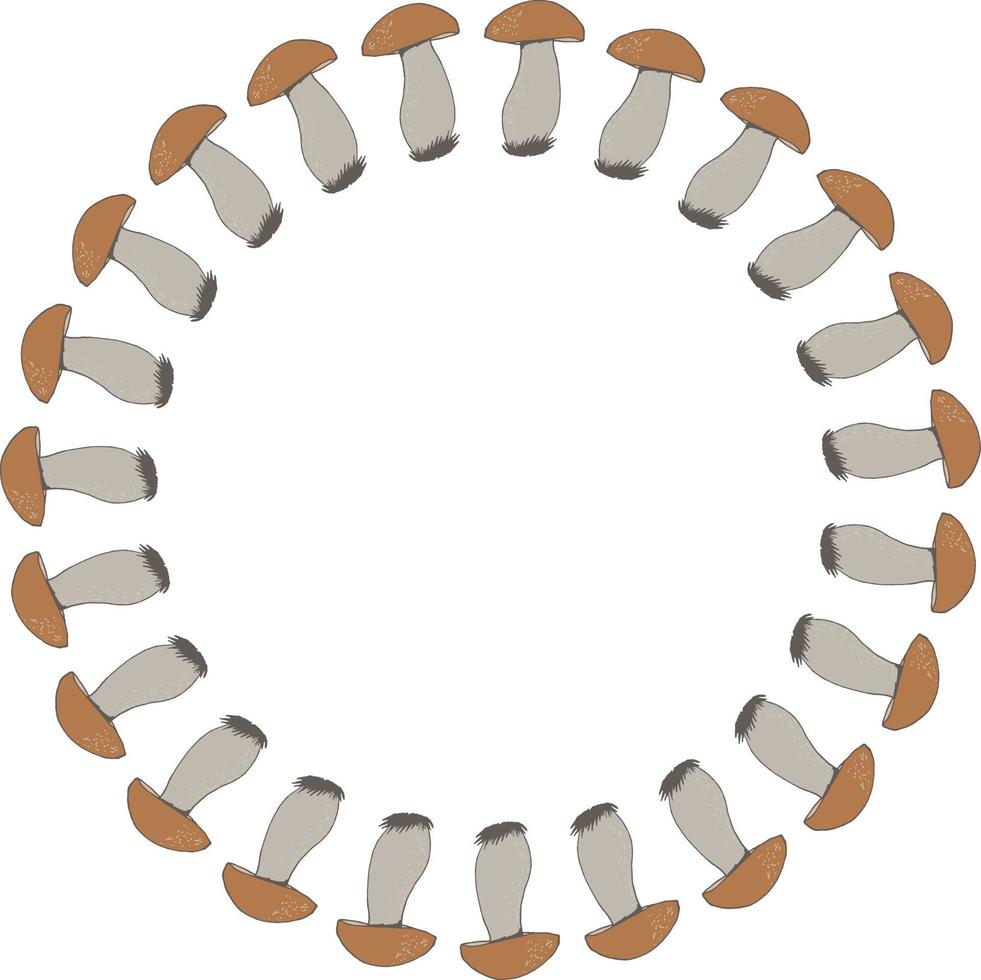 Round frame with beautiful forest mushrooms on white background. Vector image.