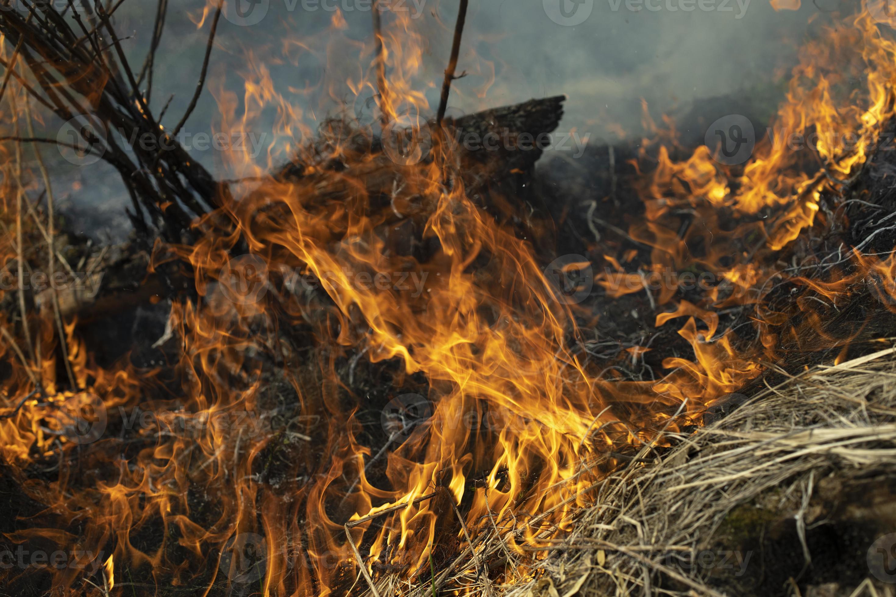 Burning of garbage. Set fire to illegal landfill. Flames and smoke