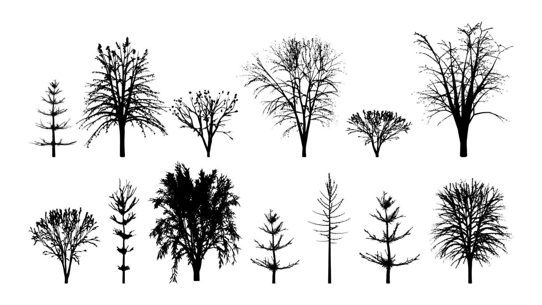 Black silhouettes of trees set. Majestic alder with young firs and realistic maple. Mysterious willow with old beech and vector hazel