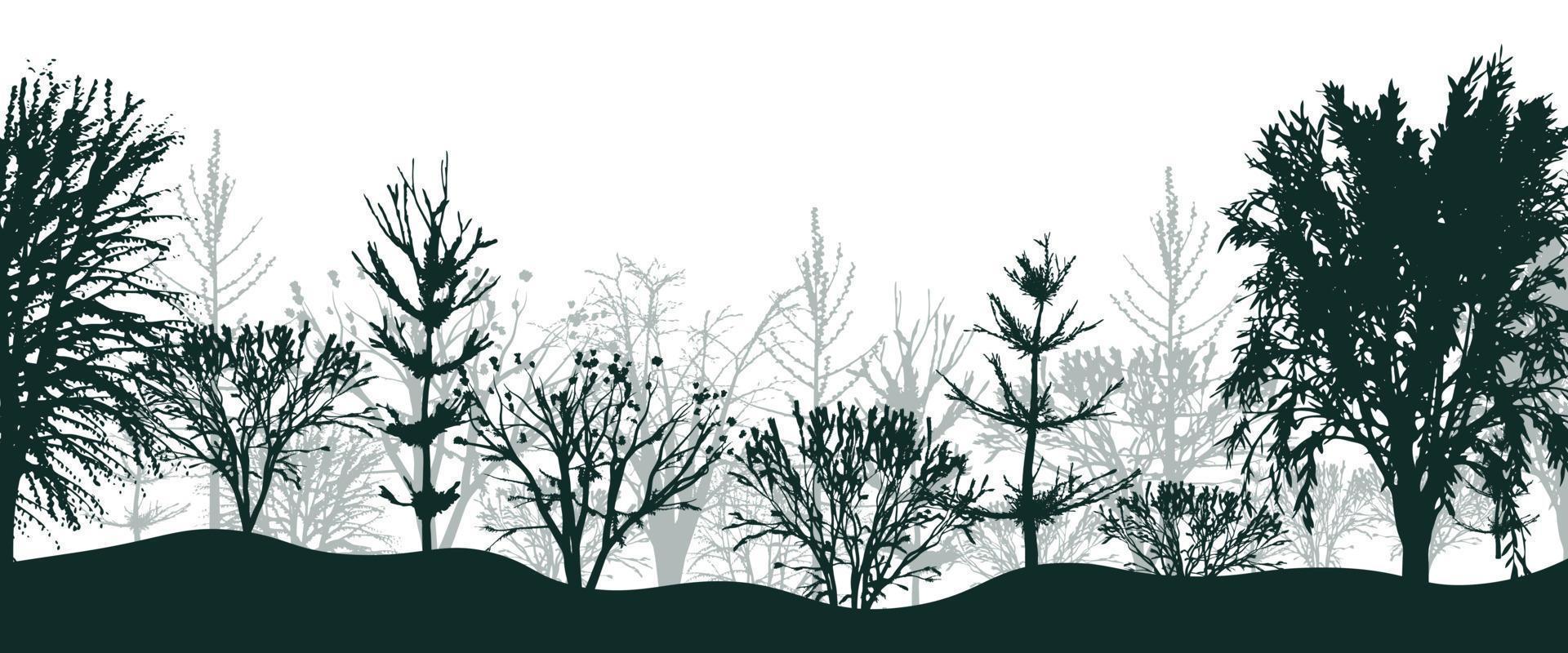 Black silhouettes of trees in forest background. Mystical thicket of spruce and beeches with bushes in light fog. Mysterious landscape in natural vector design