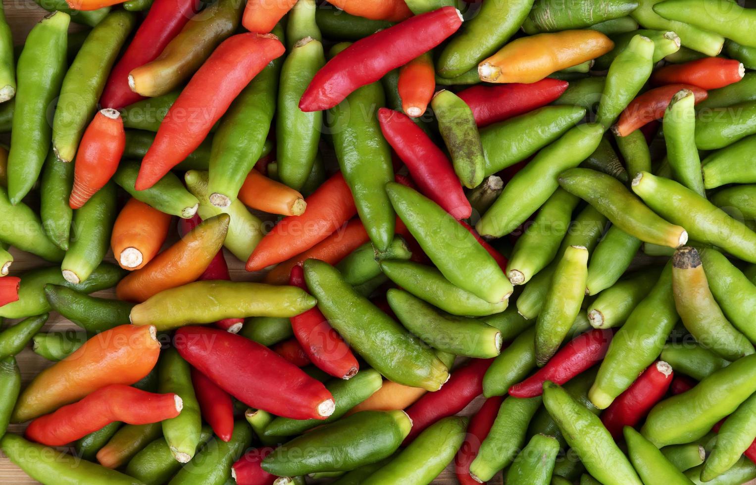 Top view colorful bird chilli background 11174364 Stock Photo at Vecteezy