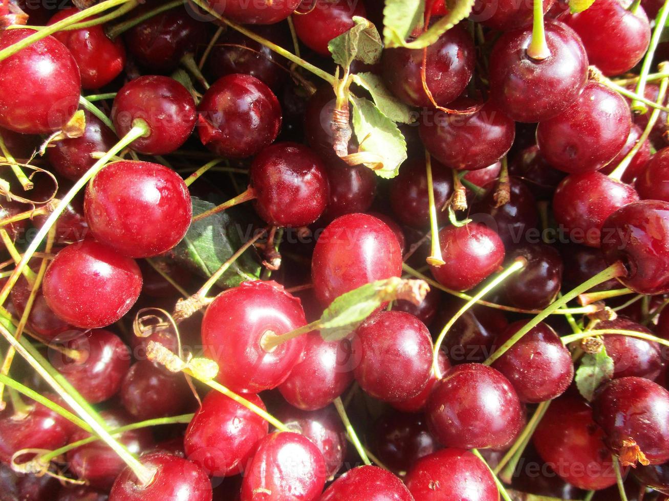 fresh fruits and vegetables photo