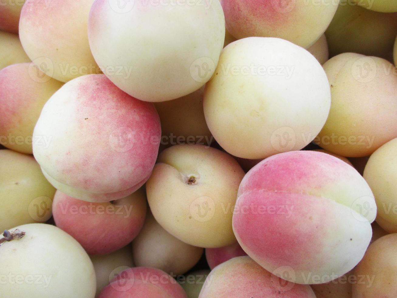 fresh fruits and vegetables photo