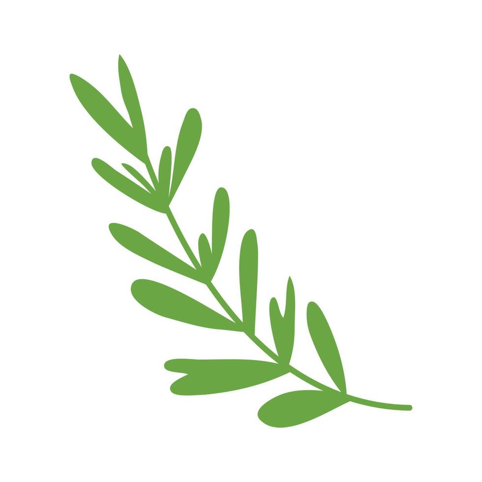 branch with leafs vector