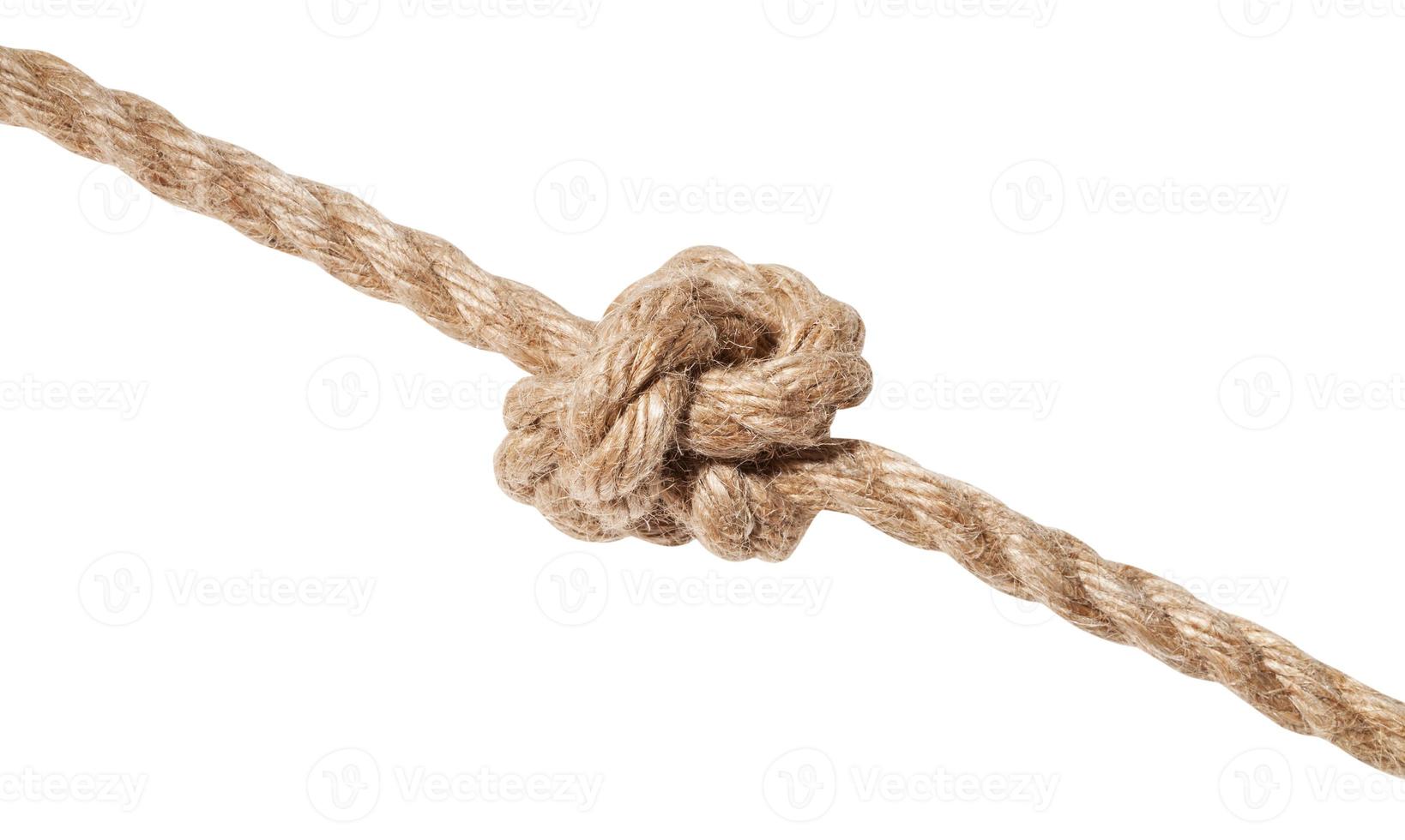 Oysterman's Knot tied on thick jute rope isolated photo