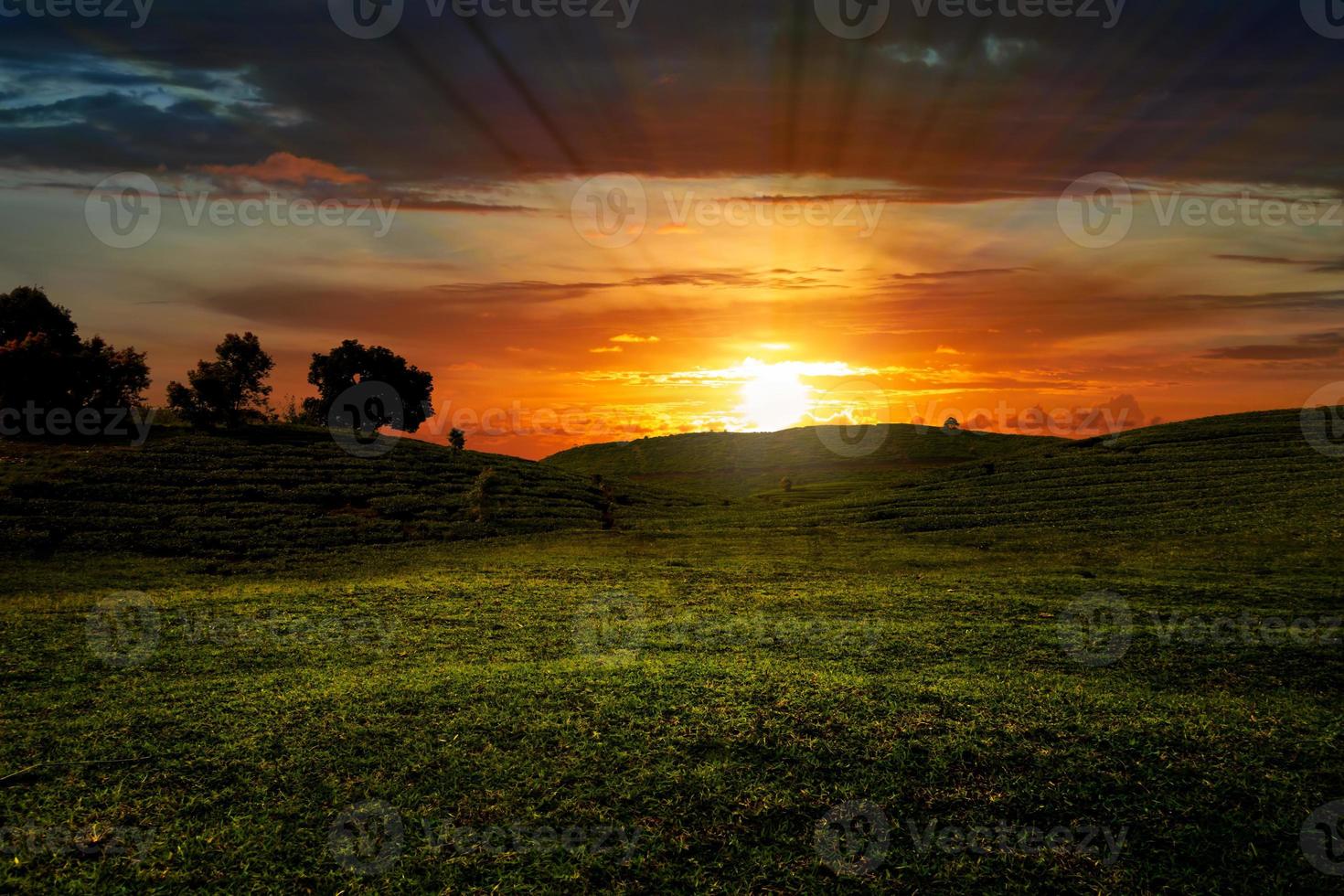 relajante cielo de puesta de sol en pastizales foto