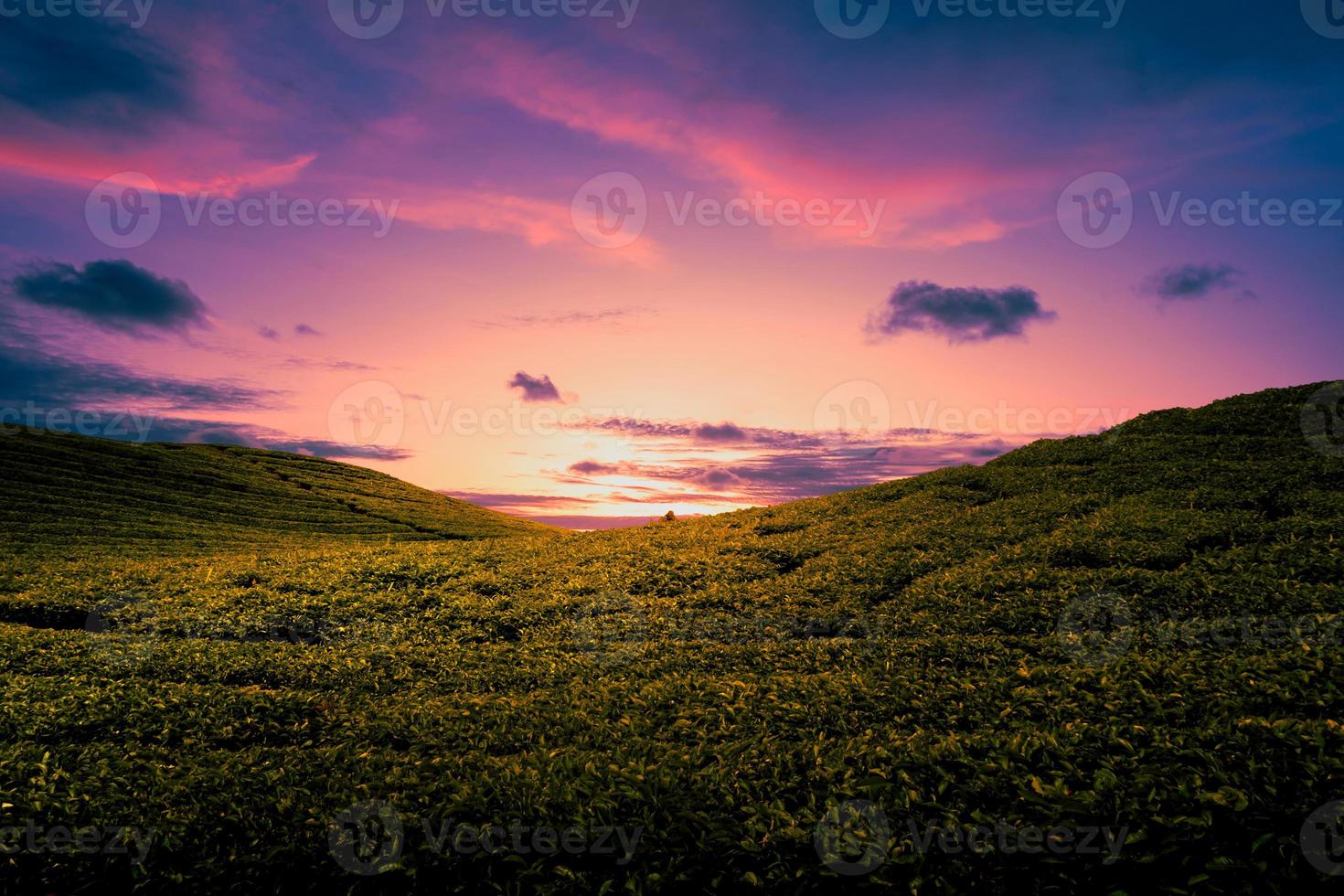 maravillosa puesta de sol sobre tierras de cultivo. foto