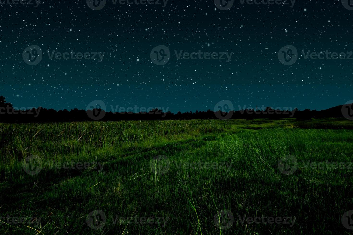Starry night in grassland. photo