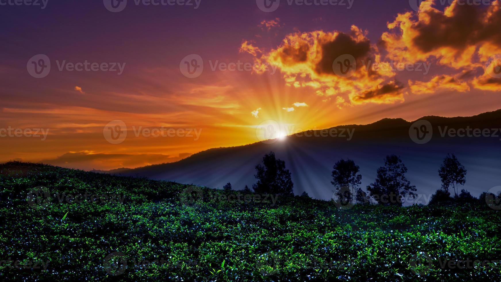 Sunset in in farmland with mountain photo