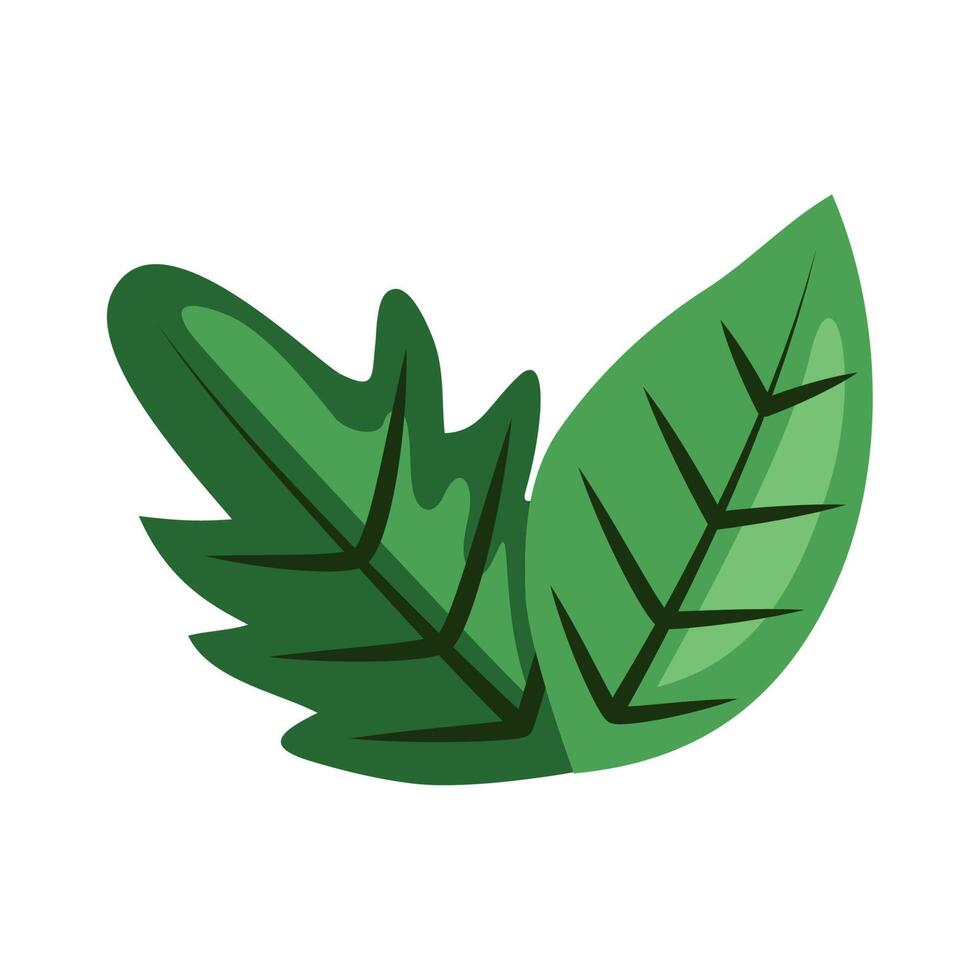 leafs plant foliage vector